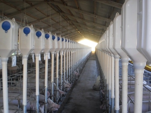 7-sistema de alimentacao-min.jpg